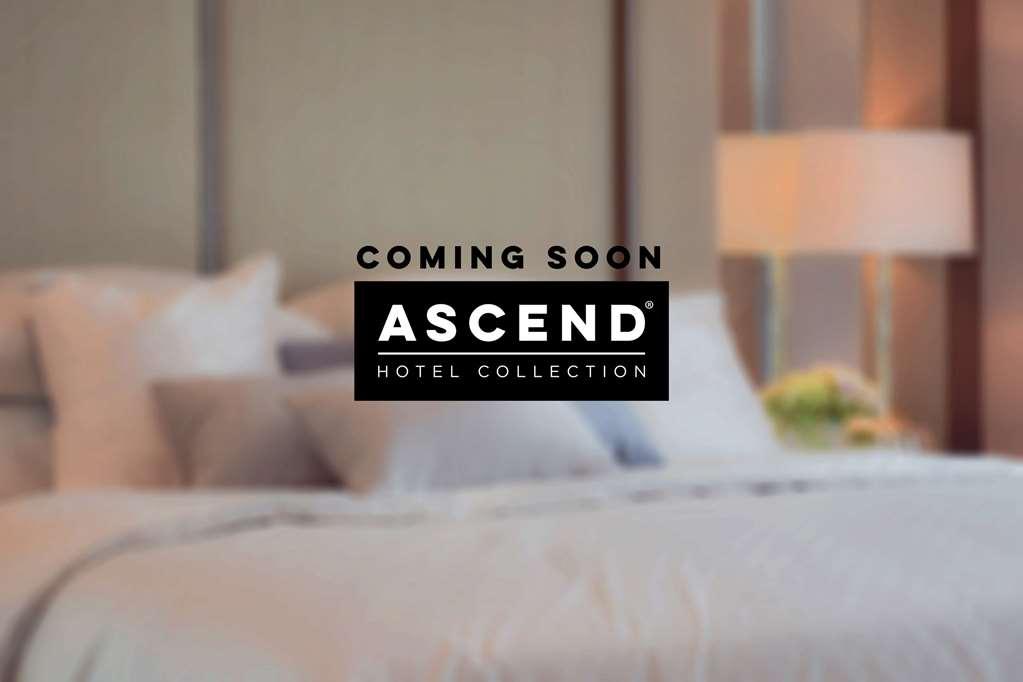 Mayfair Hotel, Ascend Hotel Collection 纽约 外观 照片
